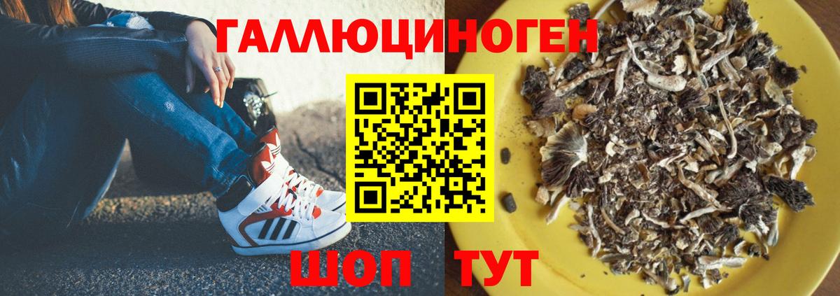 Галлюциногенные грибы GOLDEN TEACHER Красноуфимск